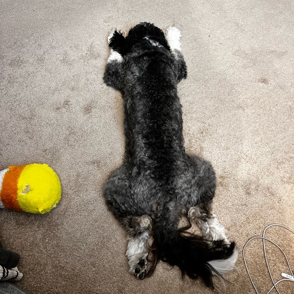 SURPRISE HAPPY MAIL - Picture 7 of 16